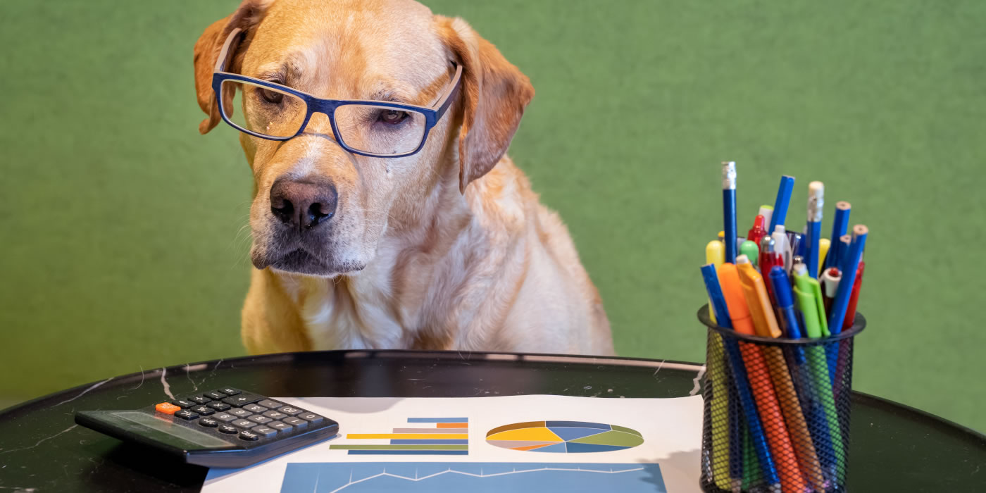 Year End Reporting: What Churches Need to Know