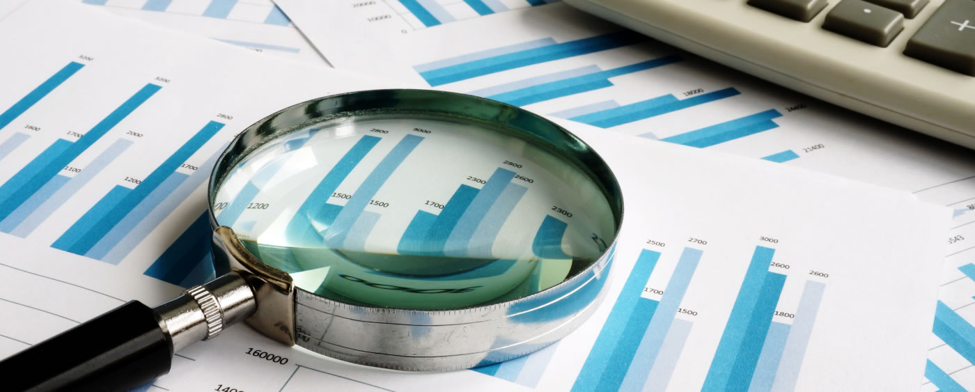 Financial Controls Self Assessment